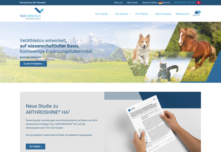 Startseite 2020 12